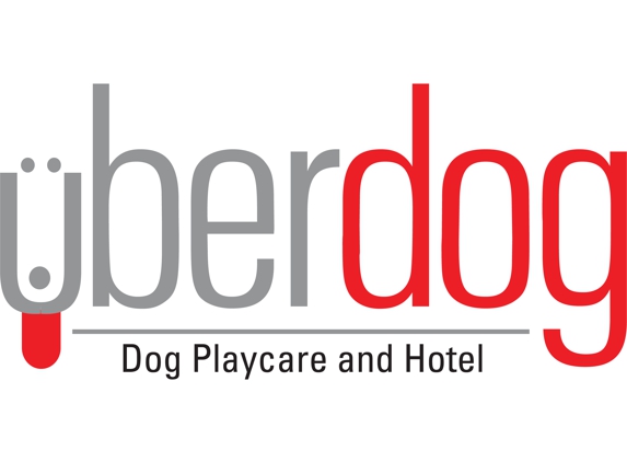 UBERDOG Dog Playcare & Hotel - West Hartford, CT