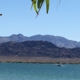 HavaSue Real Estate - Sue Miller