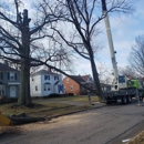 Hometown Lawn & Tree Service - Tree Service