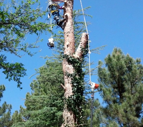 ECO-GREEN Tree Service - Rimrock, AZ