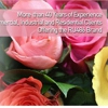 Abortion Services gallery