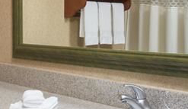 Hampton Inn Abilene - Abilene, TX