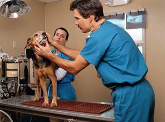 Millcreek Veterinary Clinic - Salt Lake City, UT
