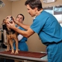 Millcreek Veterinary Clinic