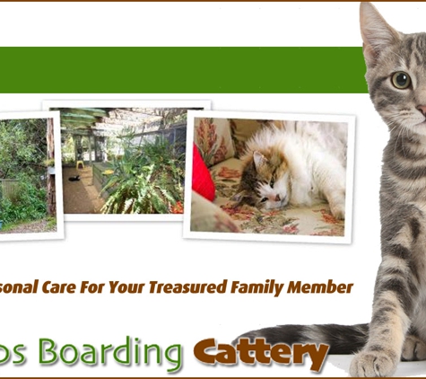 Treetops Boarding Cattery - Moorooduc, VIC. Unique, Personal Care For Your Treasured Family Member