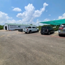 North Texas Palm's & Pottery - Pottery
