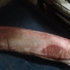 Clarissa Meats gallery
