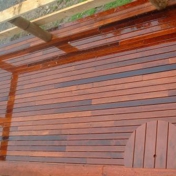 Gallery Image Number 5