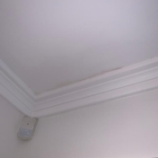Gallery Image Number 6