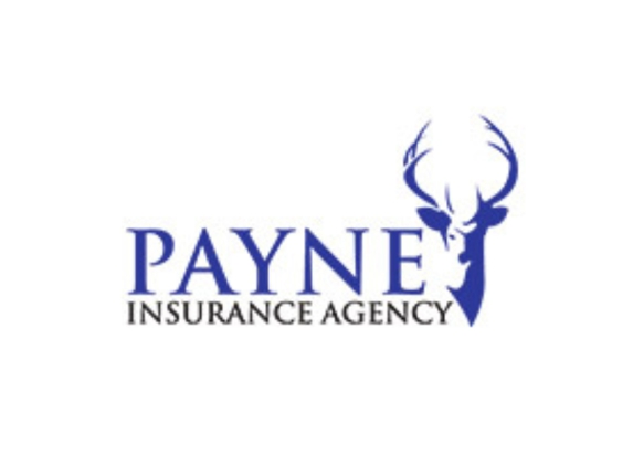 Payne Insurance Agency - Ellijay, GA