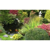 Gallery Image Number 4