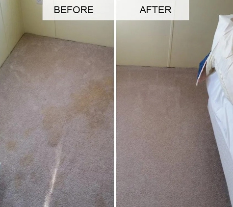 Superior Carpet & Upholstery Cleaning Inc - Punta Gorda, FL