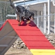 Pine Creek Kennels Pet Resort