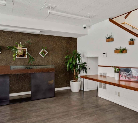 Bridge City Collective Weed Dispensary N Portland - Portland, OR