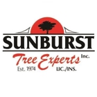 Sunburst Tree Experts