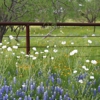 Hill Country Getaways gallery