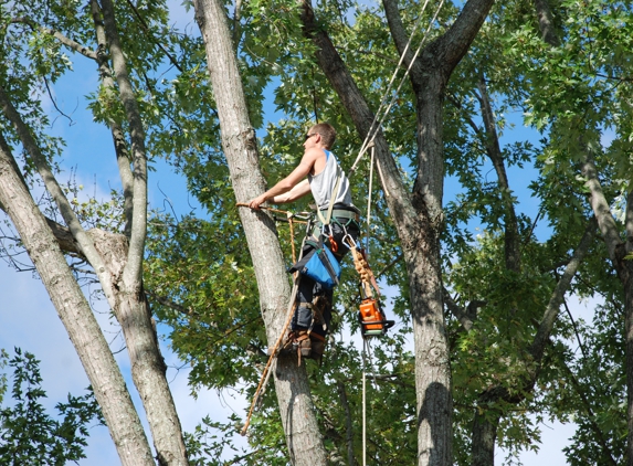 Top Notch Tree Service - Huntsville, AL