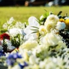 Bell's Funeral Home & Cremation Services gallery
