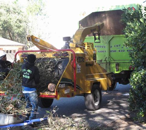 A Cut Above Tree Care, Inc.