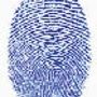 Proof Positive Fingerprinting