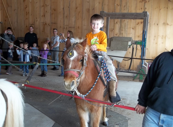 Bulitz Carriage Rides Ltd - Kohler, WI. Pony Rides