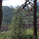 Cutting Edge Tree Worx