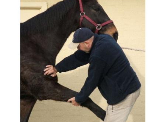 Back Into Action Osteopathic Group - Macleod, VIC