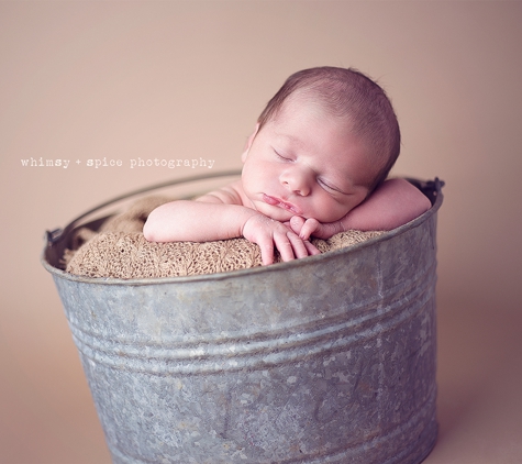 Whimsy & Spice Photography Studio - Brazoria, TX