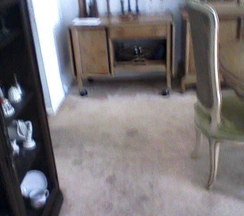 McMickles Carpet and Upholstery Cleaning - Wellington, OH. Before