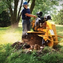 Stump Pros - Stump Removal & Grinding