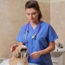 Black Hills Animal Hospital - Veterinary Clinics & Hospitals