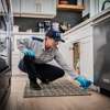 Fox Pest Control Baton Rouge gallery