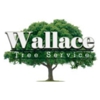 Wallace  Tree Service Experts gallery
