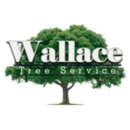 Wallace  Tree Service Experts - Tree Service