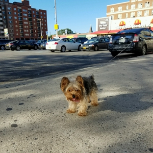 Rite Aid - Long Island City, NY