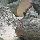 Chop Chop Tree - Tree Service