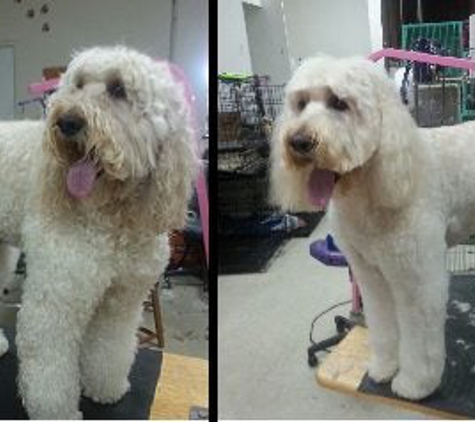 Lakeside Dog Grooming Of Sterling Heights - Sterling Heights, MI