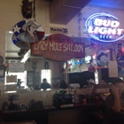 Lazy Mule Saloon