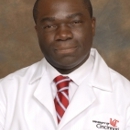 Dr. Olugbenga O Olowokure, MD - Physicians & Surgeons
