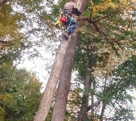 Old Town Tree Service - Pendleton, IN