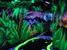 Shankz Black Light Miniature Golf - Amusement Places & Arcades