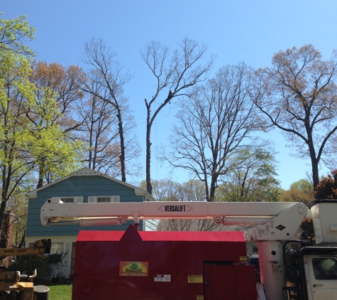 Barton's Tree Care LLC - Crofton, MD