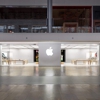 Apple Fashion Show gallery