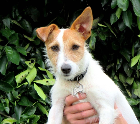 Moruya Veterinary Hospital - Moruya, NSW