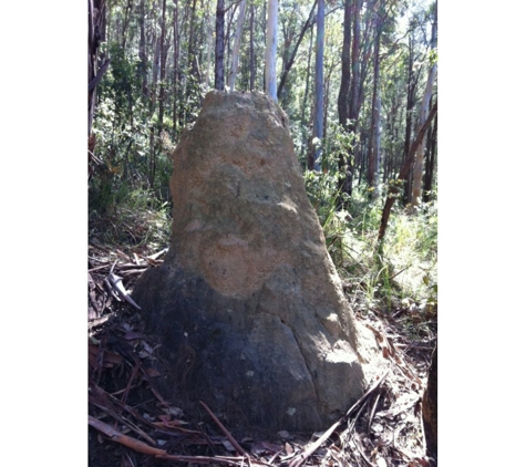 Ultra Pest Management - Springfield, NSW