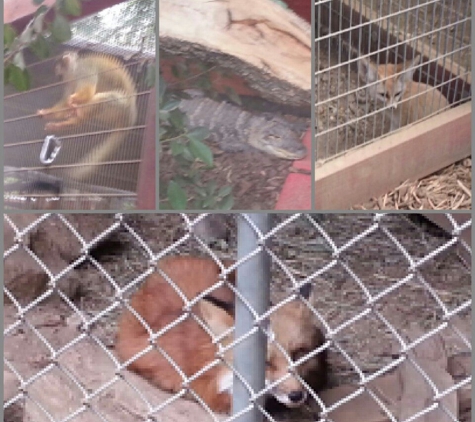 Wildlife Learning Center - Sylmar, CA