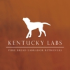 Kentucky Labs gallery