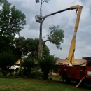 Afford Tree Service - Landscaping & Lawn Services