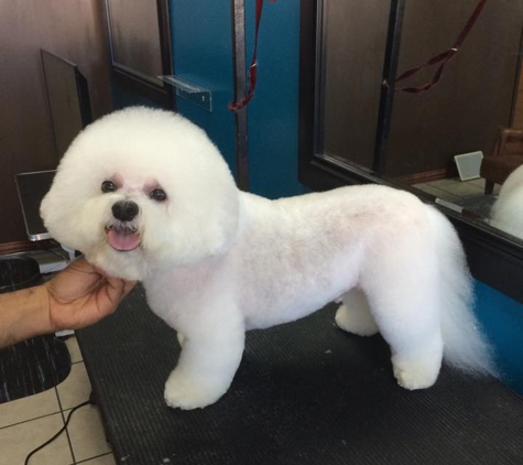 Lucky Dog Grooming - Plano, TX