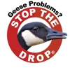 Goose Solutions gallery